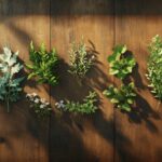 Les 8 plantes ayurvediques pour maigrir durablement et retrouver votre equilibre interieur